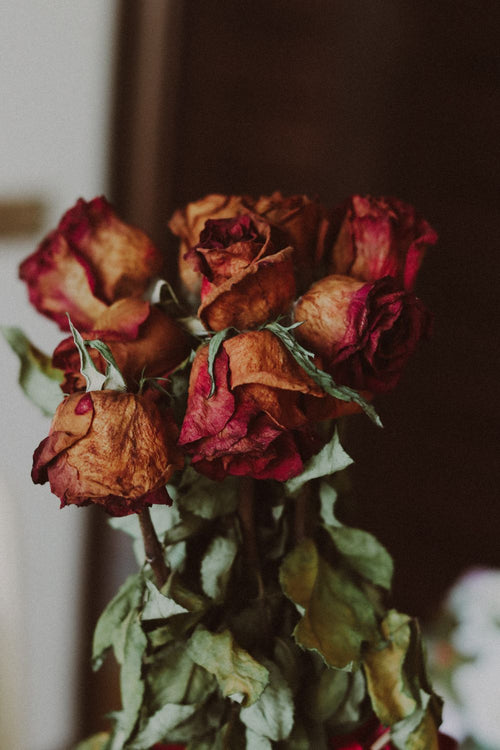 Roses