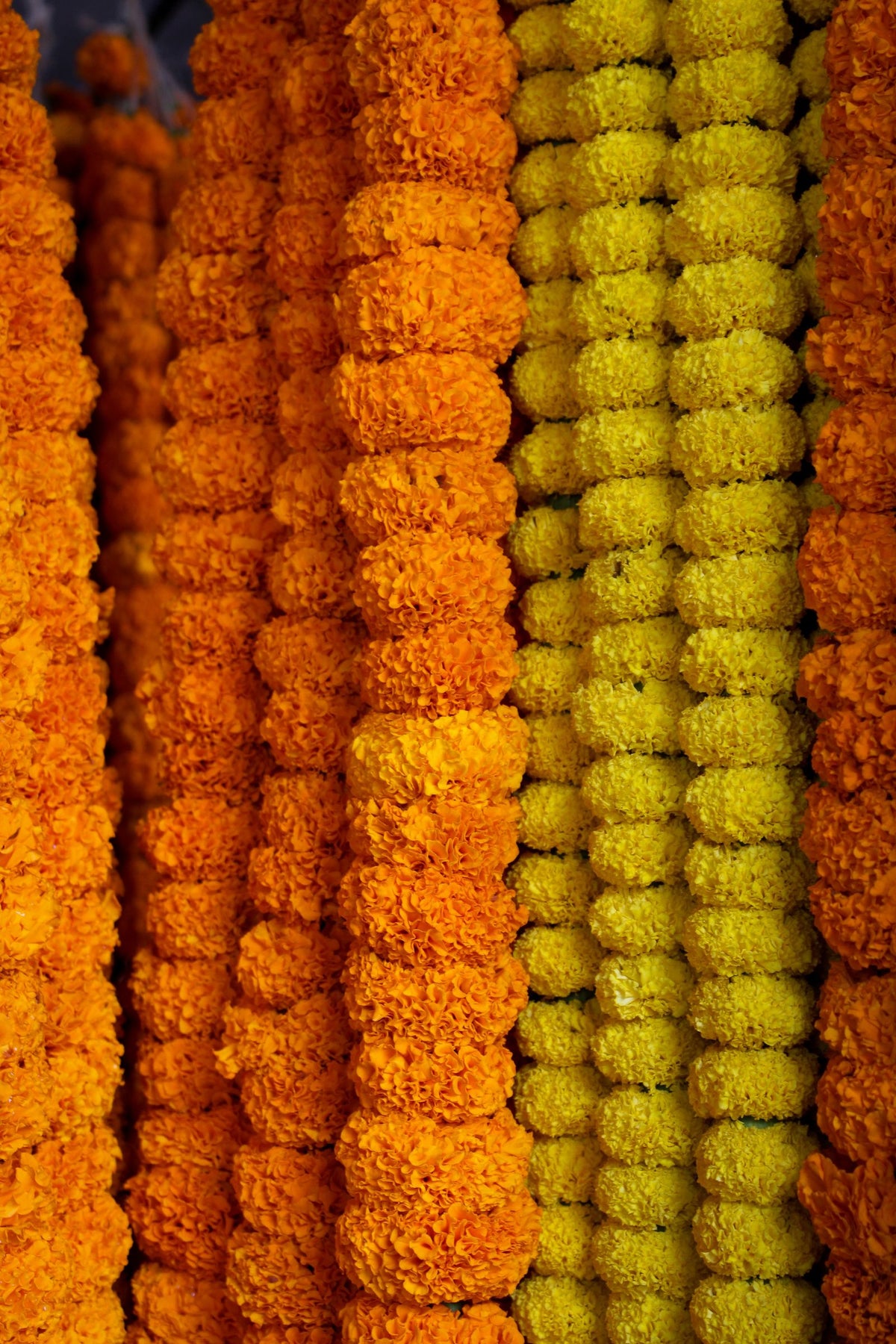 Fresh Marigold Garland 5 ft from Chardhan