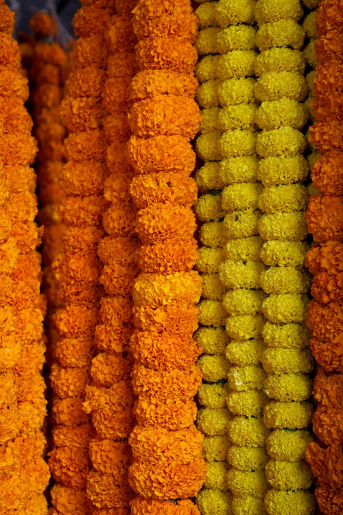 Fresh Marigold Garland 5 ft from Chardhan