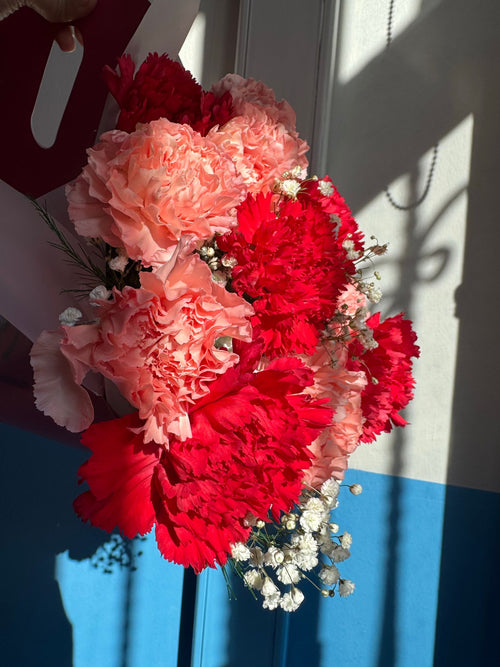 Carnations Bunch, 10 Stems from Chardhan