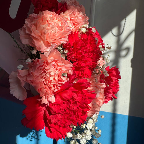 Carnations bunch – Chardhan