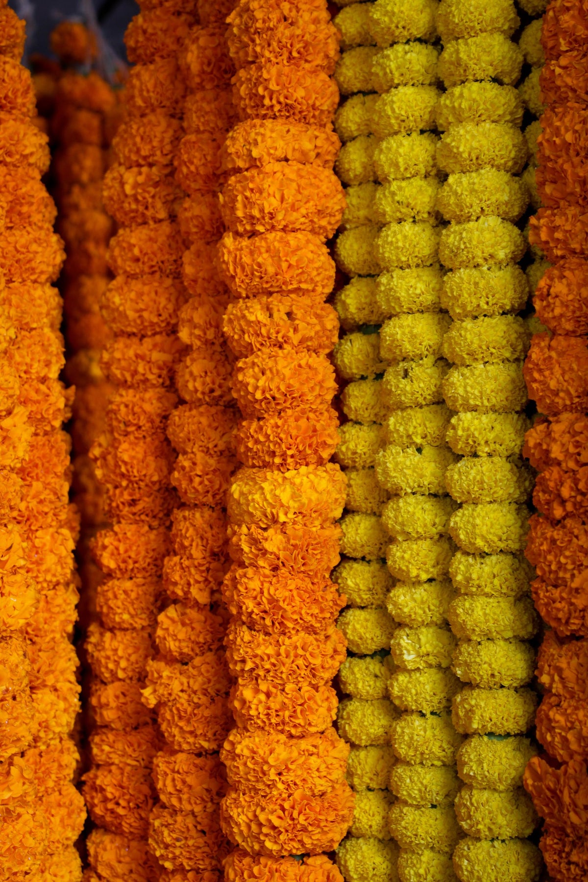 Fresh marigold garlands